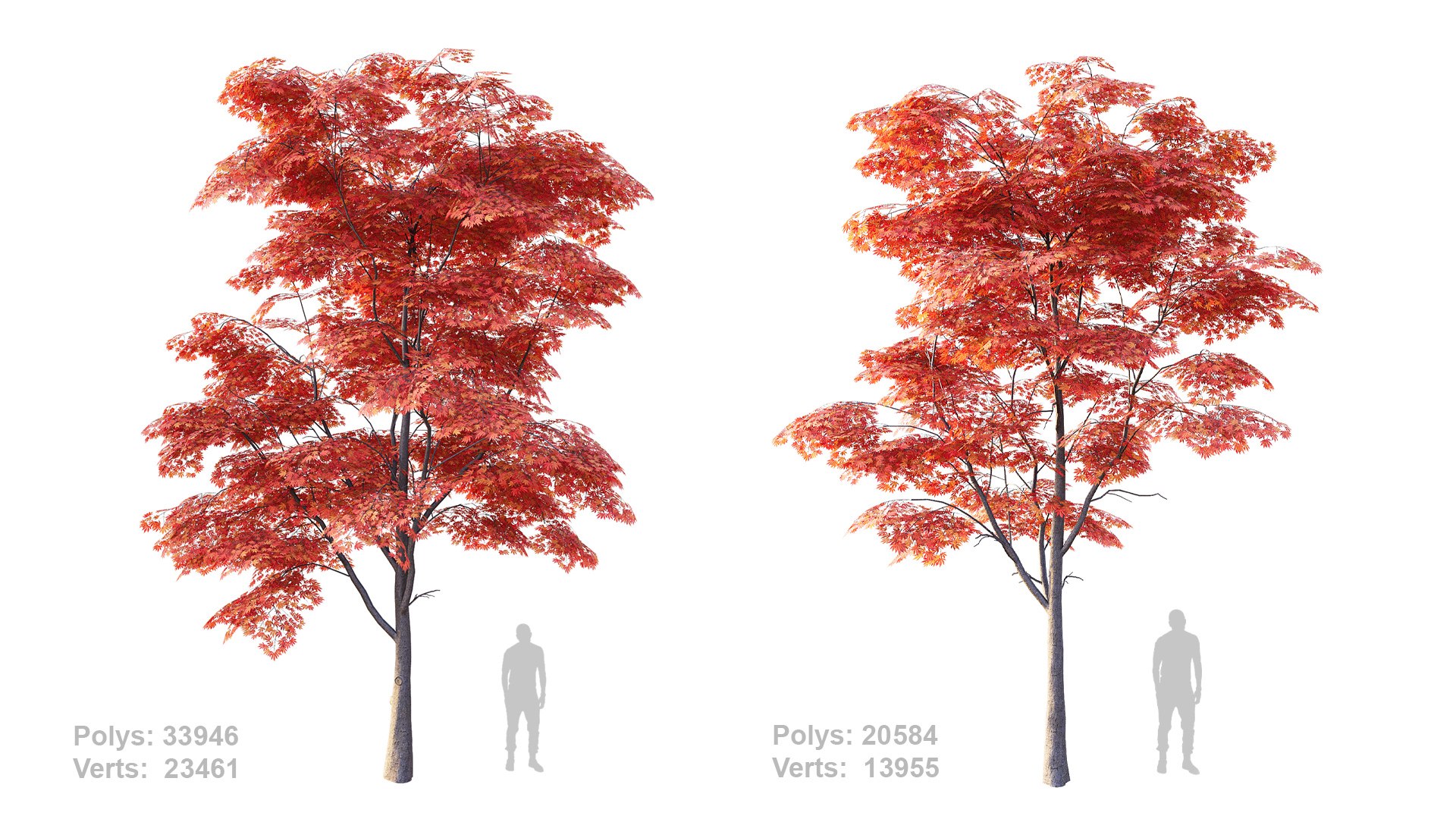 Japanese Maple Set 4K PBR 3D Model - TurboSquid 2408166