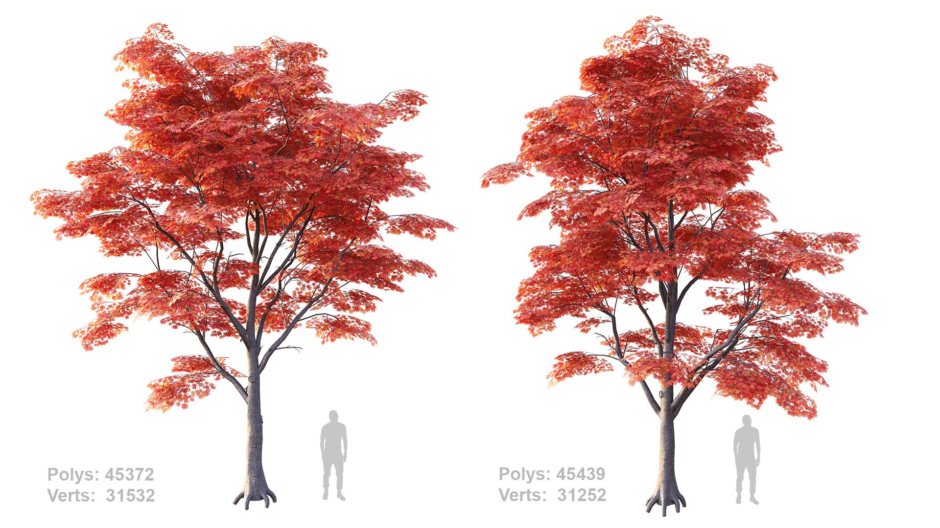 Japanese Maple Set 4K PBR 3D Model - TurboSquid 2408166