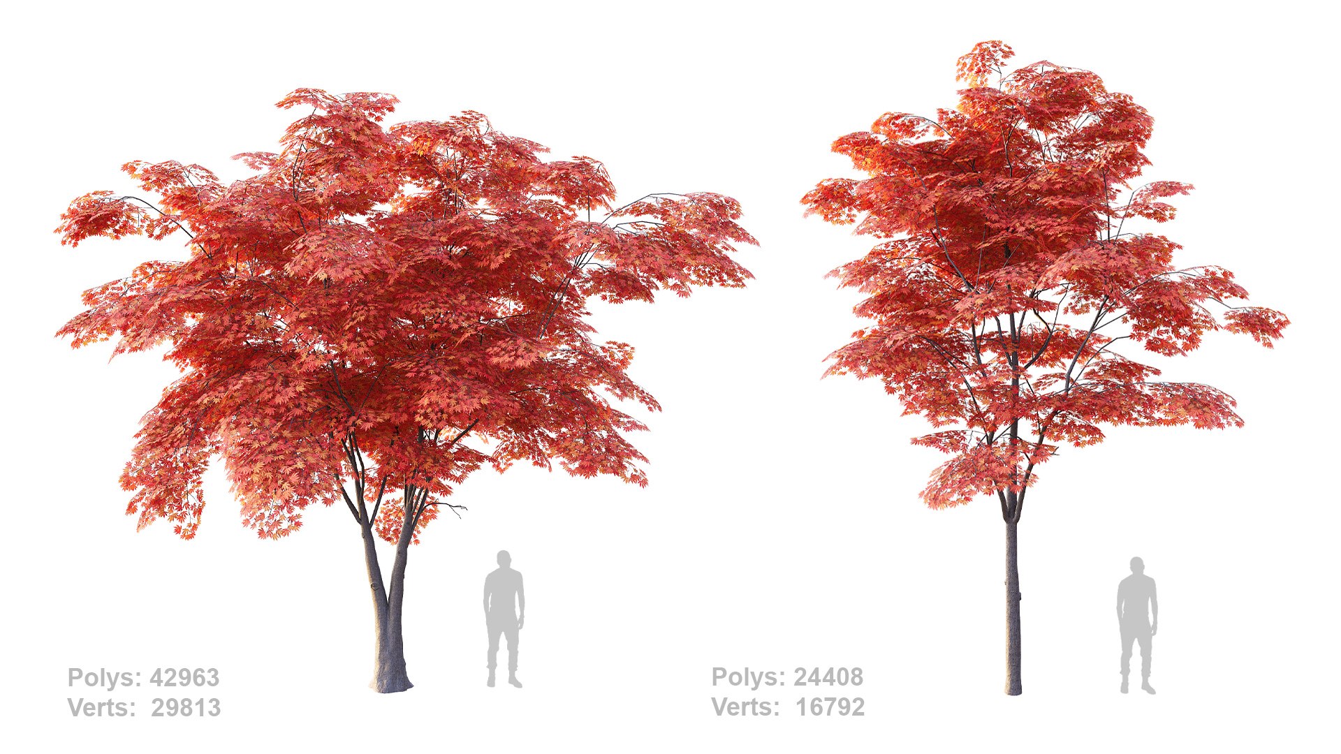 Japanese Maple Set 4K PBR 3D Model - TurboSquid 2408166