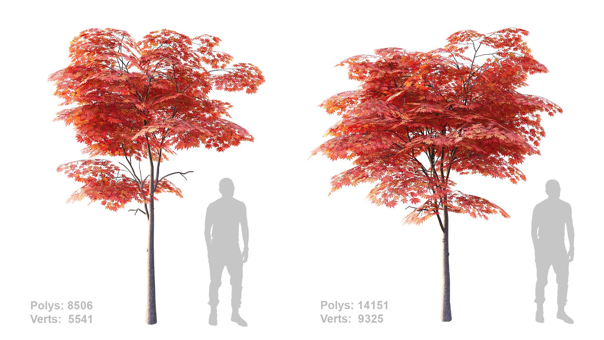 Japanese Maple Set 4K PBR 3D Model - TurboSquid 2408166