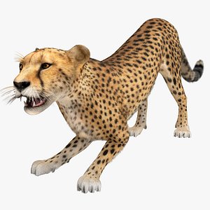 cheetah 2 pose 4 3d max