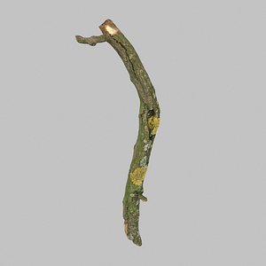 3d scan model