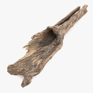 Snag Root Hideout