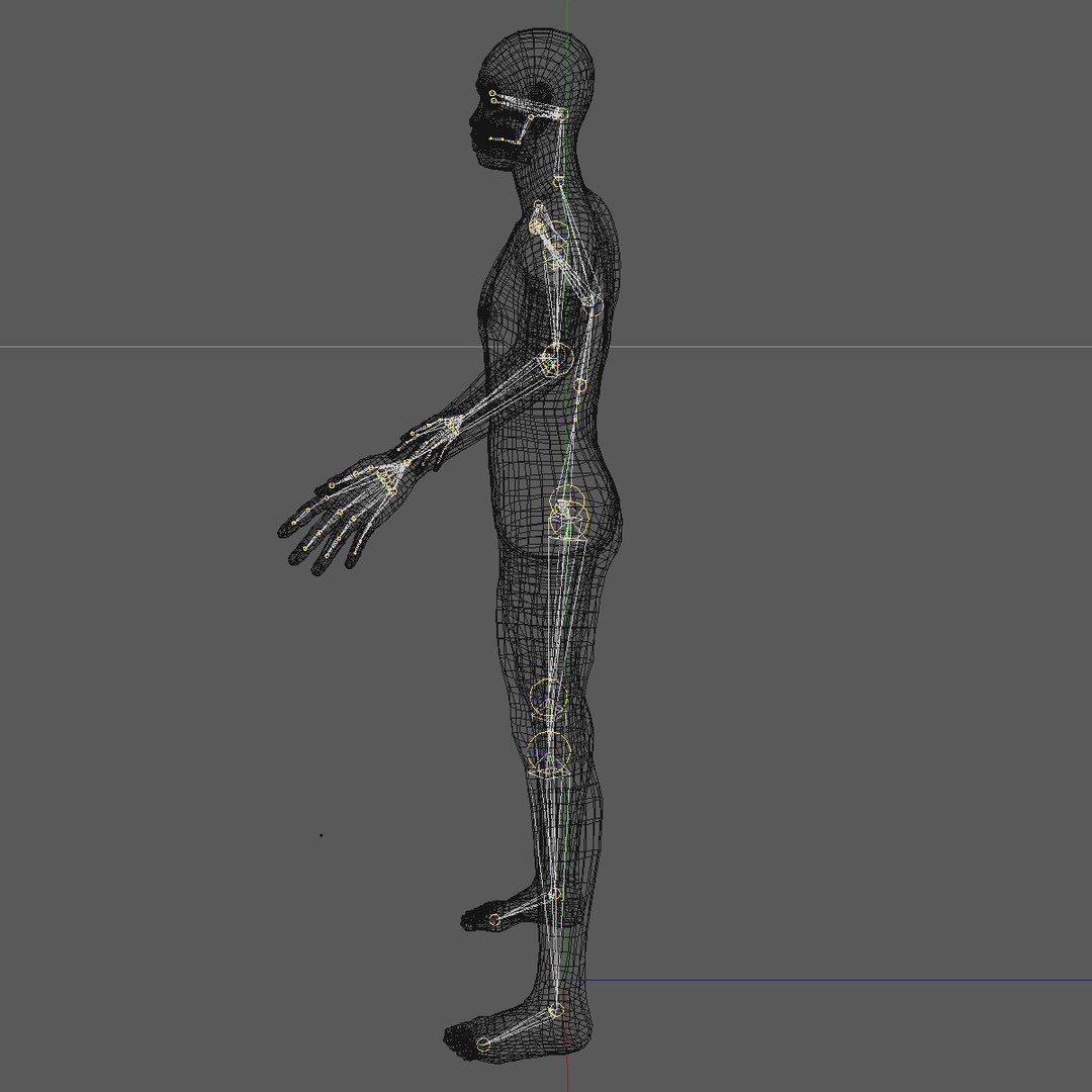 3d realistic base mesh 24