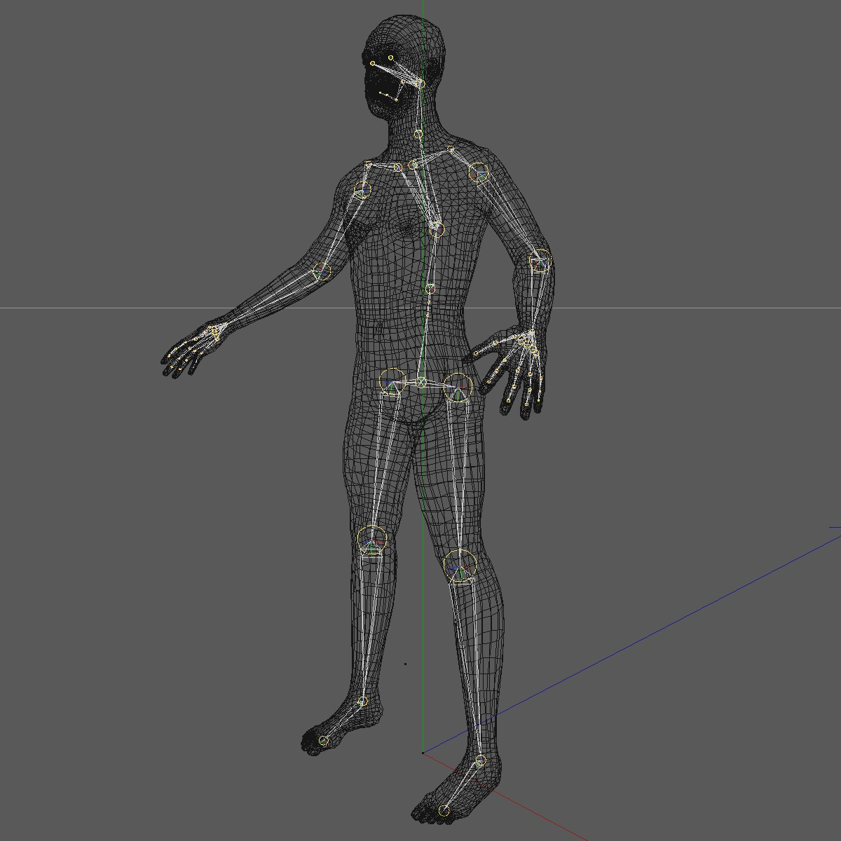 3d realistic base mesh 24