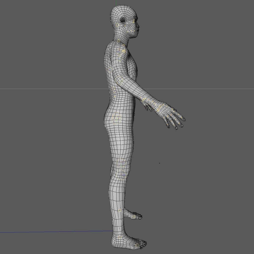 3d realistic base mesh 24