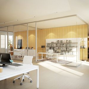 Office Interior 3