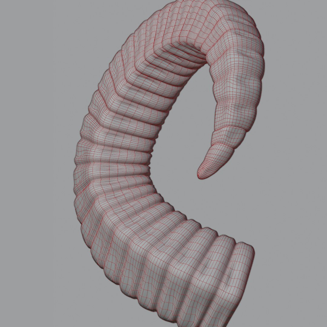 3D Horns - TurboSquid 2079138