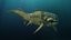 Dunkleosteus