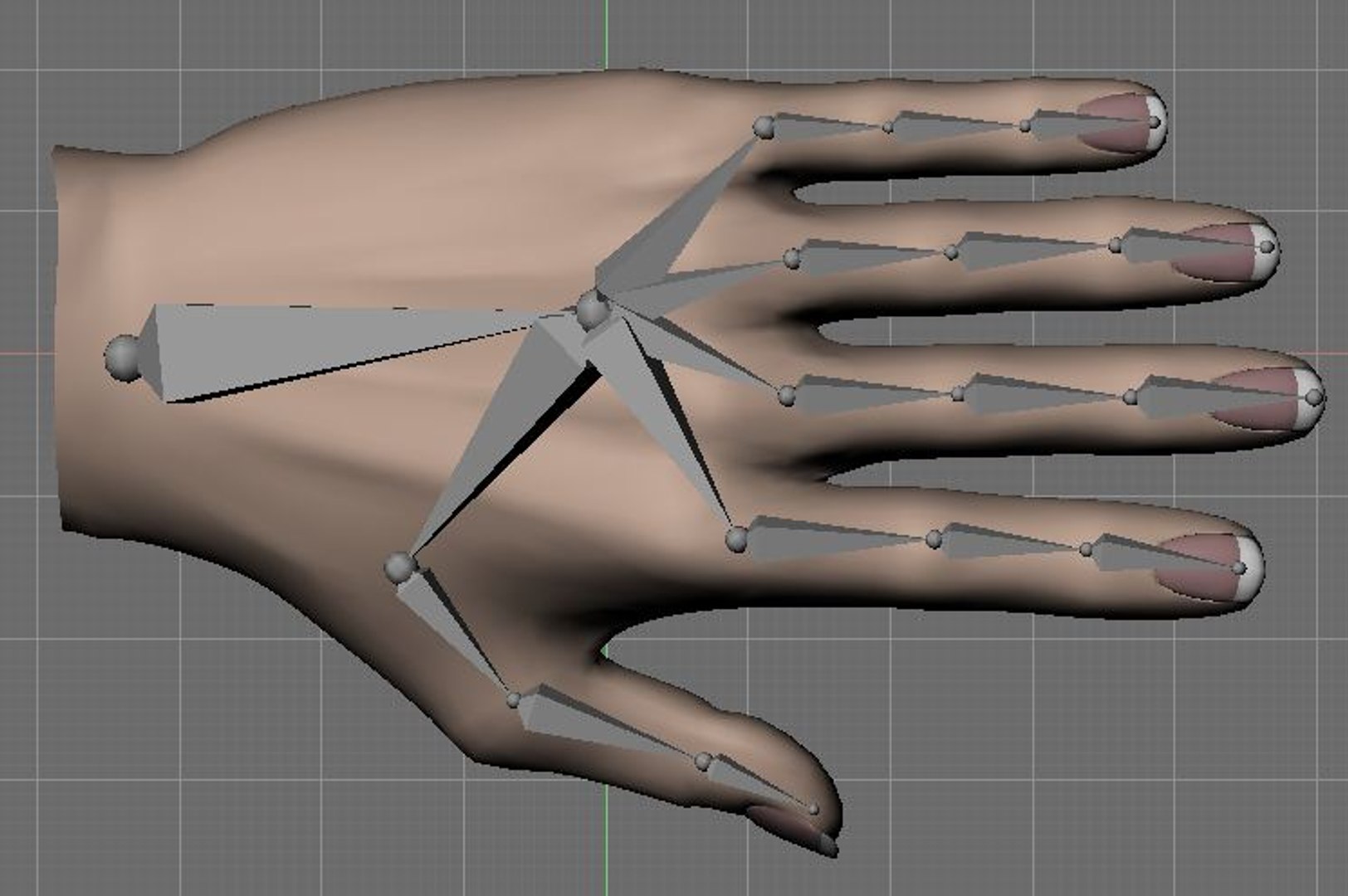 Rigged Human Hand 3d Model