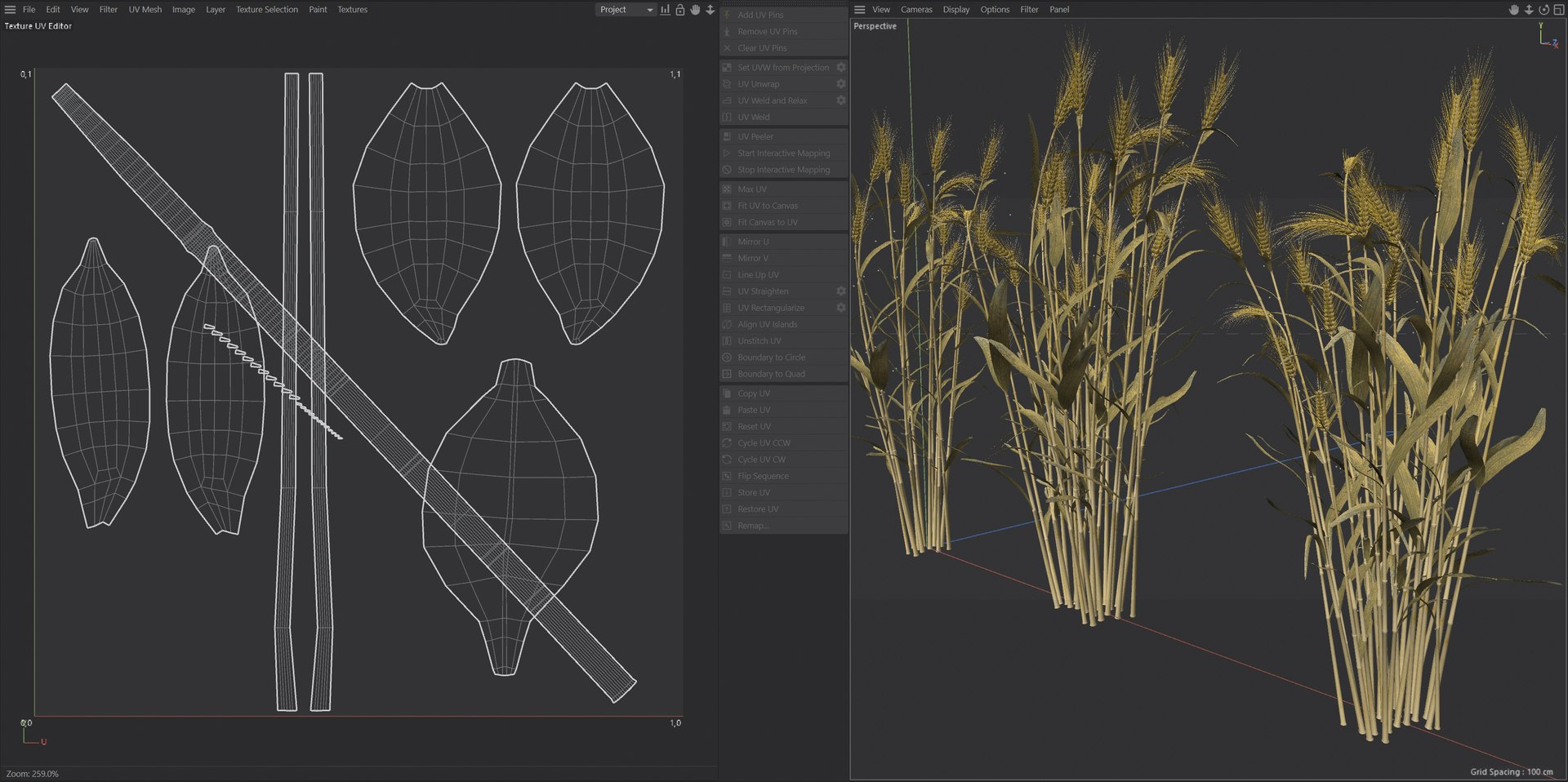 3D Wheat Mega Collection https://p.turbosquid.com/ts-thumb/2H/vU1QuE/Li/uv/jpg/1747546938/1920x1080/fit_q87/442a395fee56195a167eb1dc78f50827836e17c8/uv.jpg