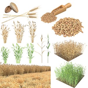 3D Wheat Mega Collection
