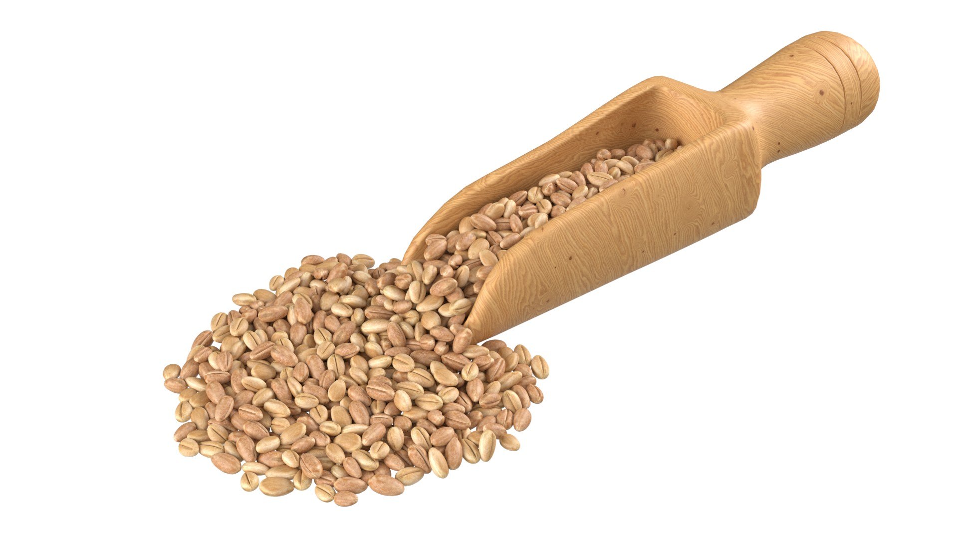 3D Wheat Mega Collection https://p.turbosquid.com/ts-thumb/2H/vU1QuE/am/1/jpg/1747547495/1920x1080/fit_q87/1600a070d1ae06966db786ee1f4a36dd263464ff/1.jpg