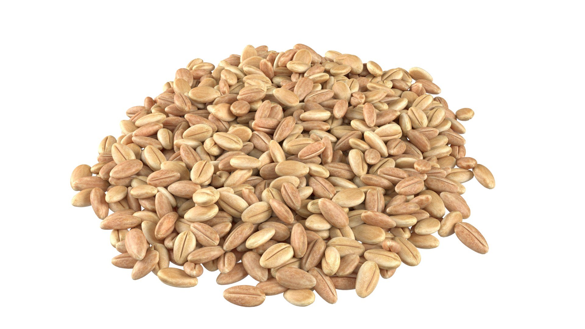 3D Wheat Mega Collection https://p.turbosquid.com/ts-thumb/2H/vU1QuE/nl/1/jpg/1747546311/1920x1080/fit_q87/33b4b6e246b685e7e963ea88df3a570d53c7ddc9/1.jpg