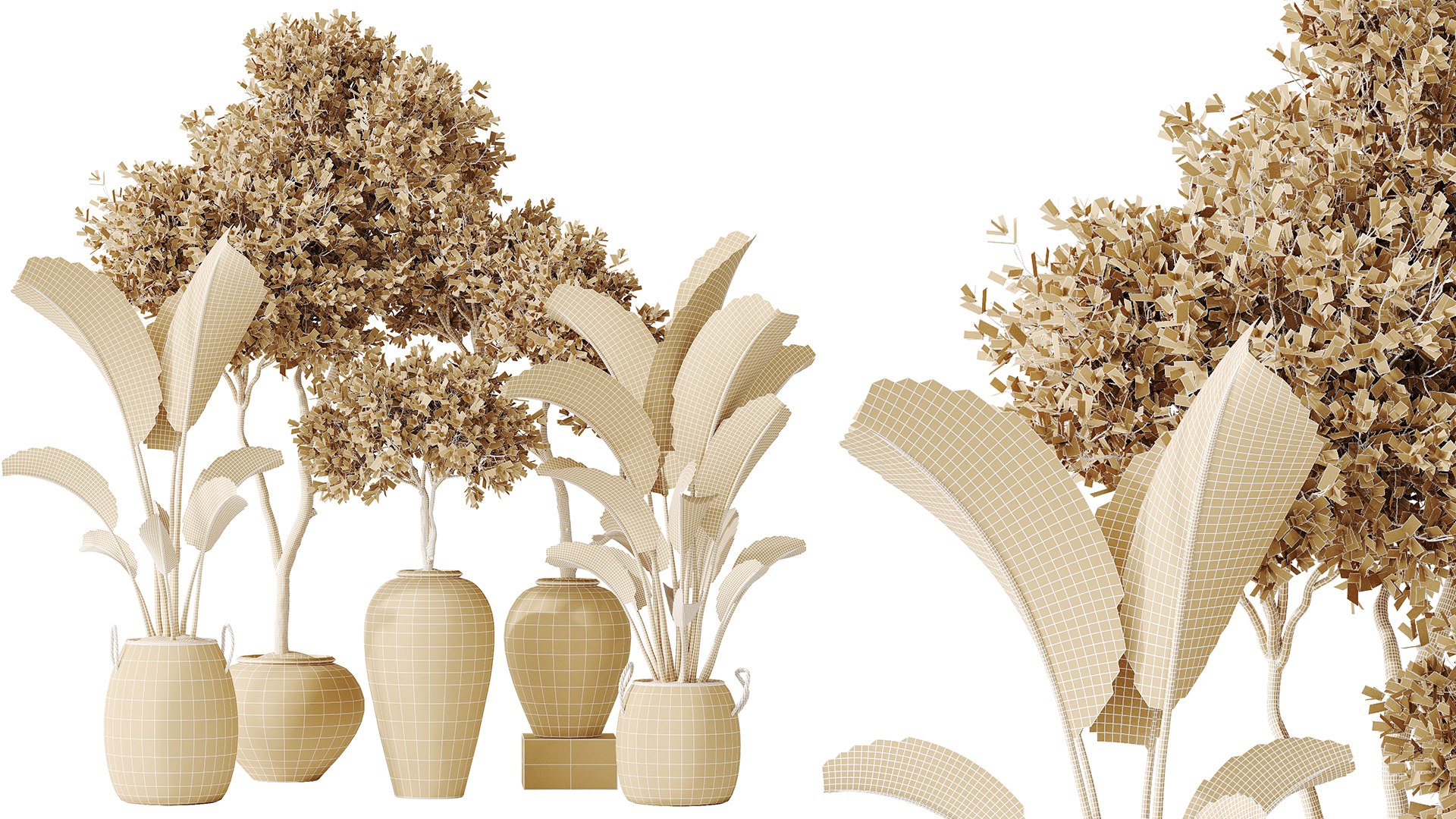 AV Indoor plants set 163 Mission Olive Tree and Ravenala Banana Strelitzia Nicolai Bird Of Paradise 3D model https://p.turbosquid.com/ts-thumb/2I/193qYU/dT/07/png/1737963050/1920x1080/fit_q87/0891cdcd4db01e4c14d59312a7db14fe2443d6c7/07.jpg