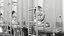 Brewery Fermentation Vessels with Kegs
