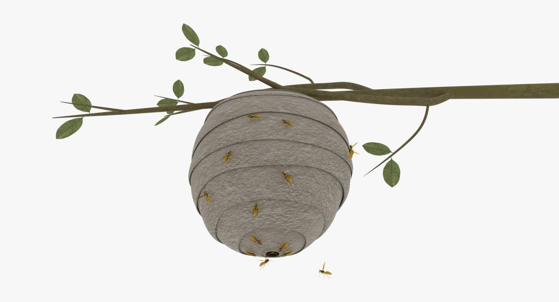 wasp nest 3D model https://p.turbosquid.com/ts-thumb/2I/GYbW7s/A3LB3nyL/0004/png/1562378383/1920x1080/fit_q87/4d133bd935afa8ab4fb1696da41cacf39f506385/0004.jpg