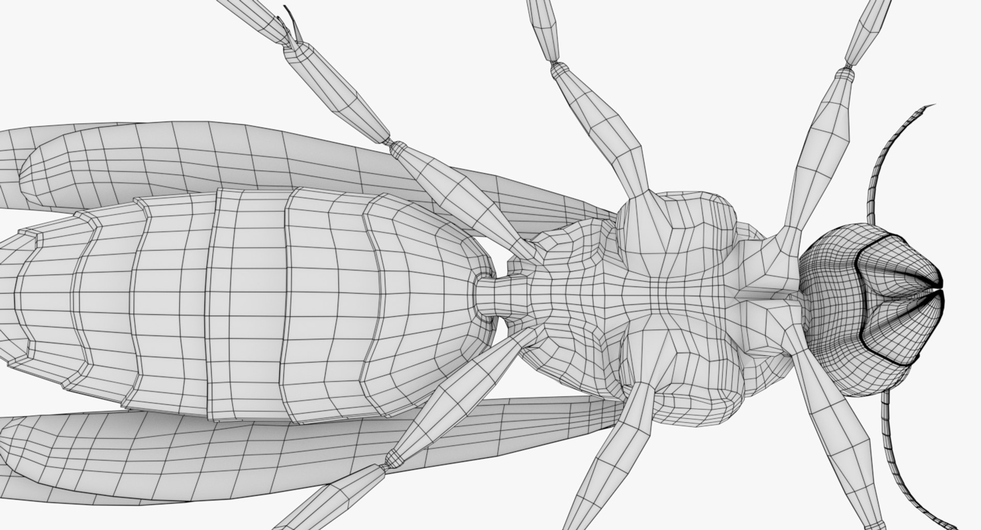 wasp nest 3D model https://p.turbosquid.com/ts-thumb/2I/GYbW7s/AS2xaOTX/0025/png/1562378511/1920x1080/fit_q87/25018000264059728e378469fa0f4d0ba6985908/0025.jpg