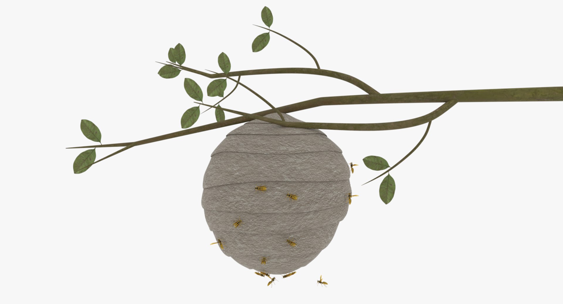 wasp nest 3D model https://p.turbosquid.com/ts-thumb/2I/GYbW7s/KRqvl1P5/0006/png/1562378381/1920x1080/fit_q87/280a83ce25debcde283fdb1e14dca6ba39fe00f3/0006.jpg
