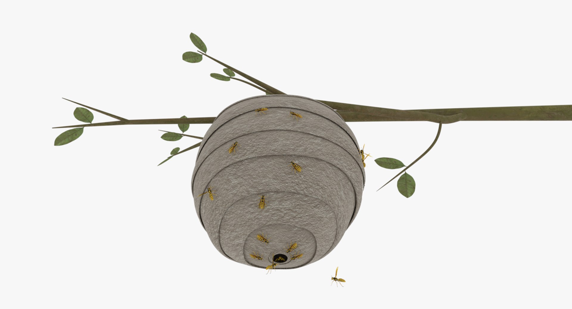 wasp nest 3D model https://p.turbosquid.com/ts-thumb/2I/GYbW7s/KyGNkwBu/0005/png/1562378383/1920x1080/fit_q87/71927acbdba31df4430f9368367a7603771e2f85/0005.jpg