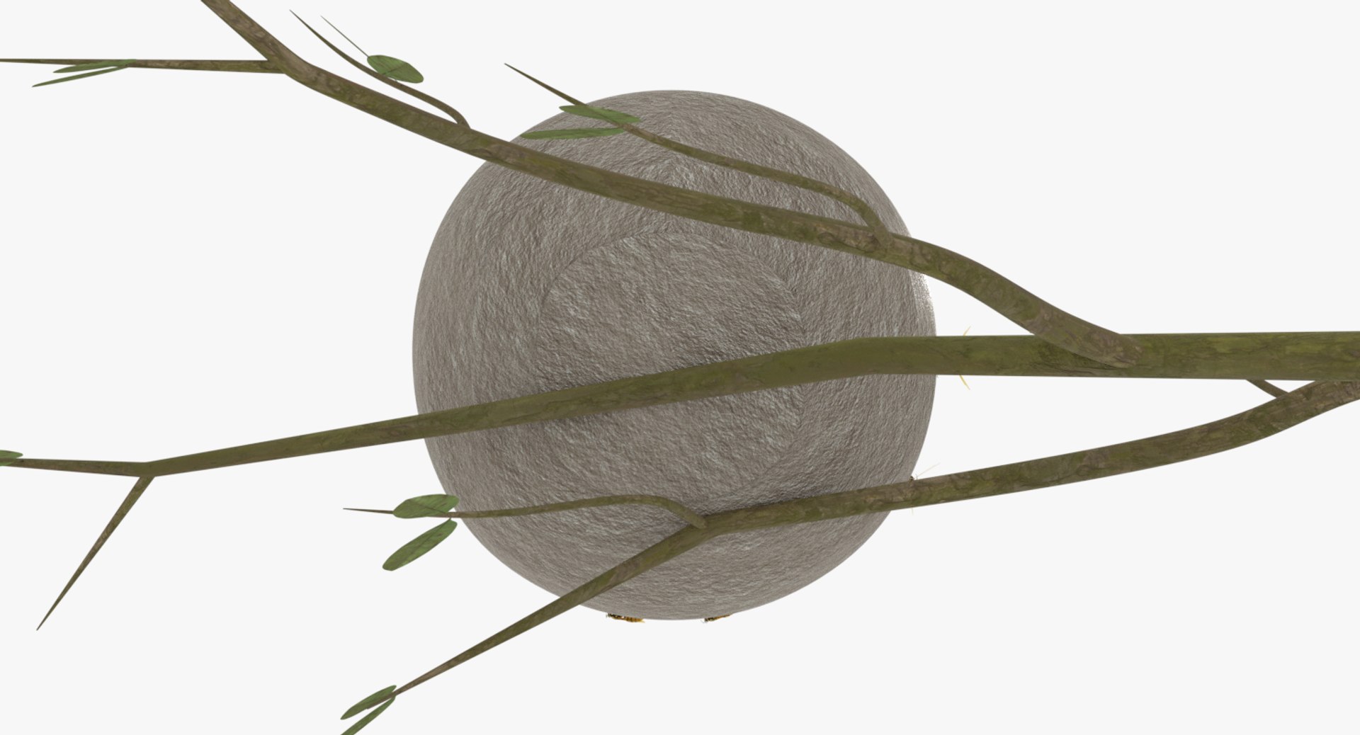 wasp nest 3D model https://p.turbosquid.com/ts-thumb/2I/GYbW7s/Y7OZY30x/0011/png/1562378372/1920x1080/fit_q87/61e1f82123c2623e93bb3aa8bdbd7fbce19c6b85/0011.jpg