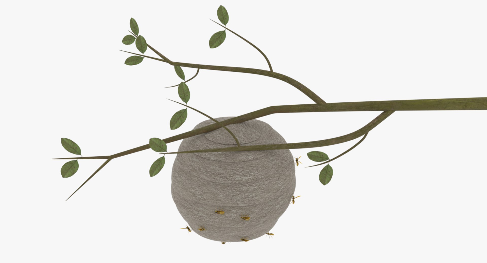 wasp nest 3D model https://p.turbosquid.com/ts-thumb/2I/GYbW7s/Yi4xxPwi/0007/png/1562378381/1920x1080/fit_q87/86e562de678209e3891c51fac8cfc5a55e802f01/0007.jpg