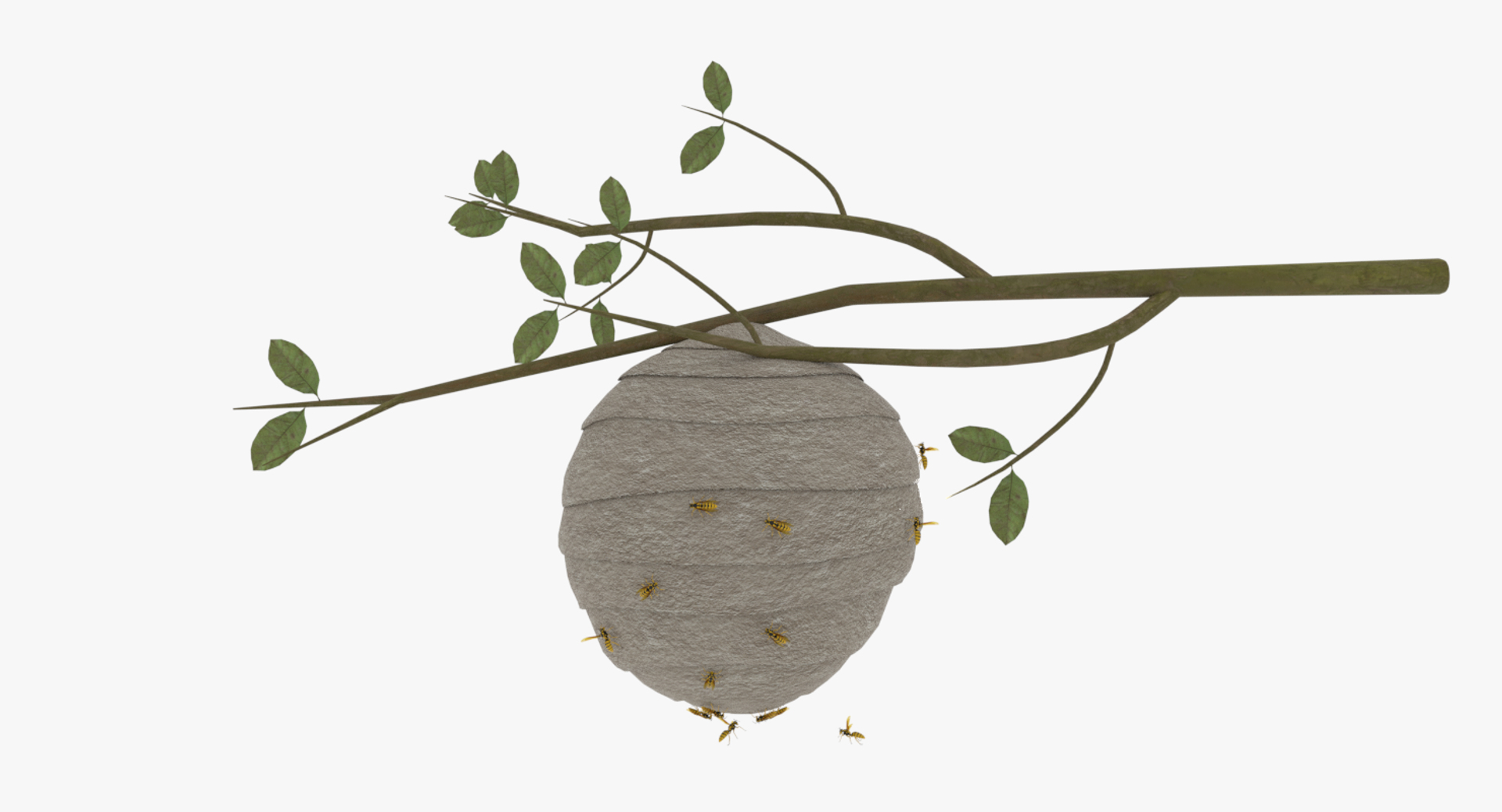 wasp nest 3D model https://p.turbosquid.com/ts-thumb/2I/GYbW7s/eFw7pdaq/pic.png/png/1562378182/1920x1080/turn_fit_q99/5a4bcc4e9bf555806b59f45bcbb41defe180205d/pic.png-1.jpg