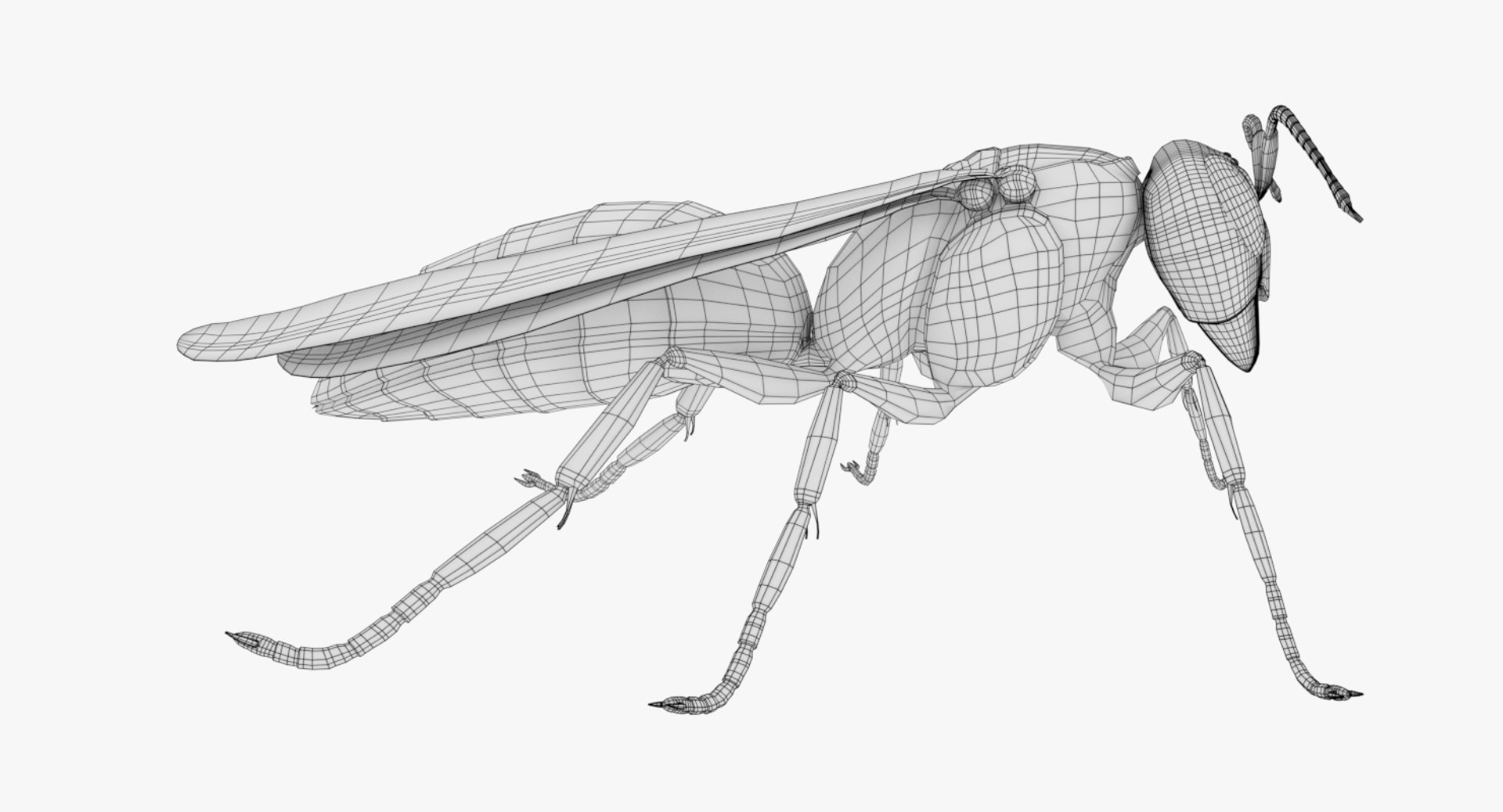 wasp nest 3D model https://p.turbosquid.com/ts-thumb/2I/GYbW7s/iK4p75gI/0027/png/1562378511/1920x1080/fit_q87/d4138133104de937d1eebe54aa1cd2e361f5add6/0027.jpg