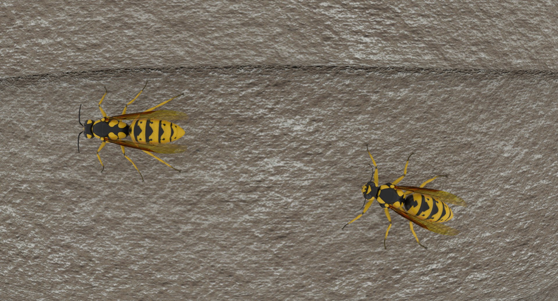 wasp nest 3D model https://p.turbosquid.com/ts-thumb/2I/GYbW7s/ico1vFds/0009/png/1562378381/1920x1080/fit_q87/448ff19b903c15a7c1517cd7b152c069751859db/0009.jpg