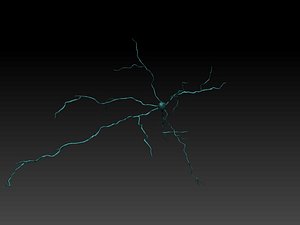 Neuron