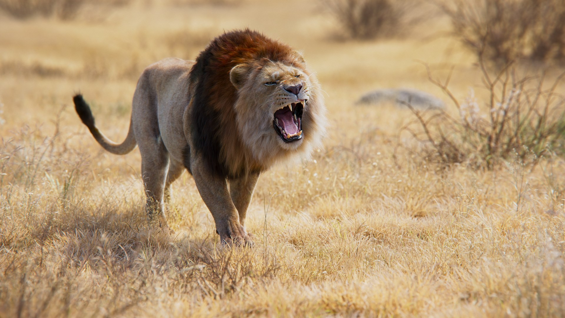 Male Lion Animated 3D model https://p.turbosquid.com/ts-thumb/2I/SrnFNt/BW/4/jpg/1671201333/1920x1080/fit_q87/5b86fb3473c653bfb9b36604c1c6da9f68f5ebec/4.jpg