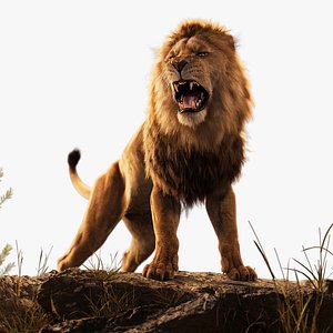 Male Lion Animated 3D model