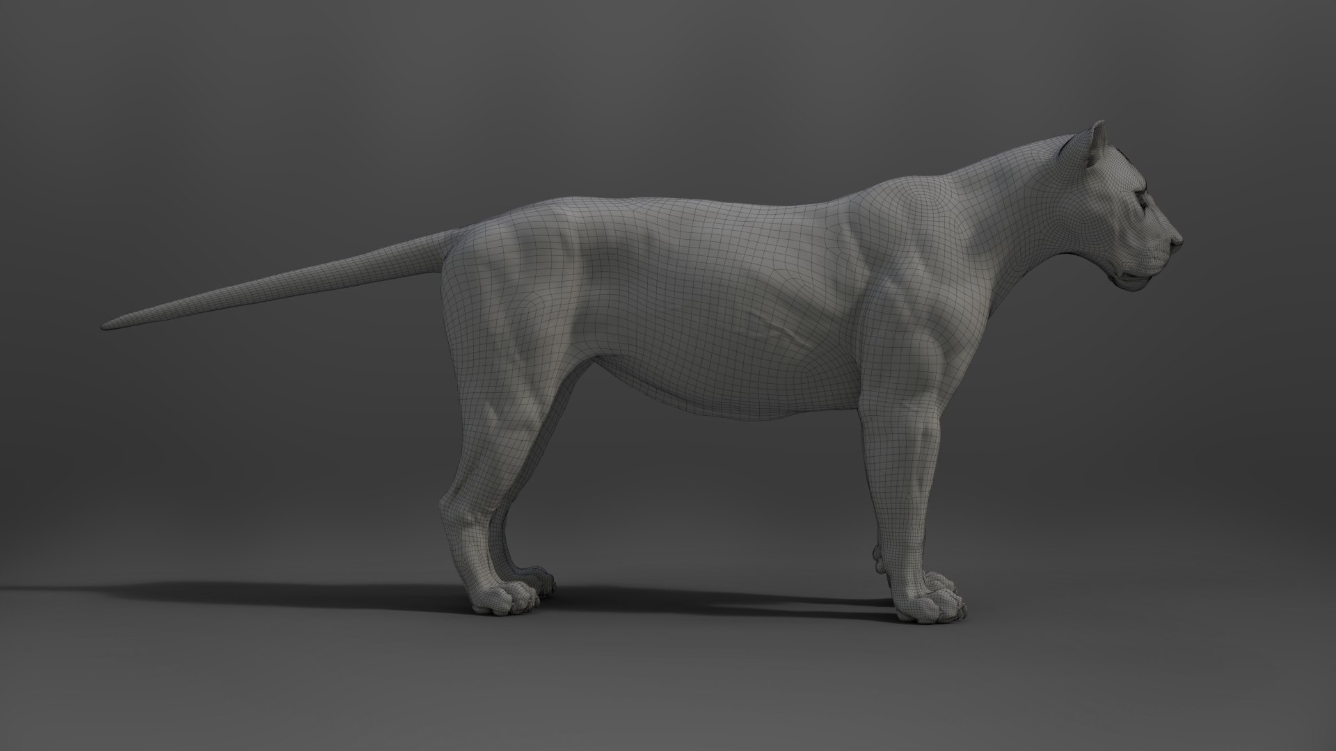 Male Lion Animated 3D model https://p.turbosquid.com/ts-thumb/2I/SrnFNt/XK/jf0la12a9_lion_wire02/png/1671201309/1920x1080/fit_q87/4fa28e7570bd0eb0cb8f916422c222056bf4cdf2/jf0la12a9_lion_wire02.jpg