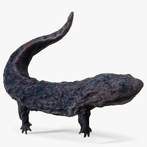 Giant Salamander Dark Swimming