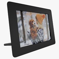Digital Photo Frame Aluratek