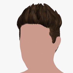 3D model Hairstyle 49