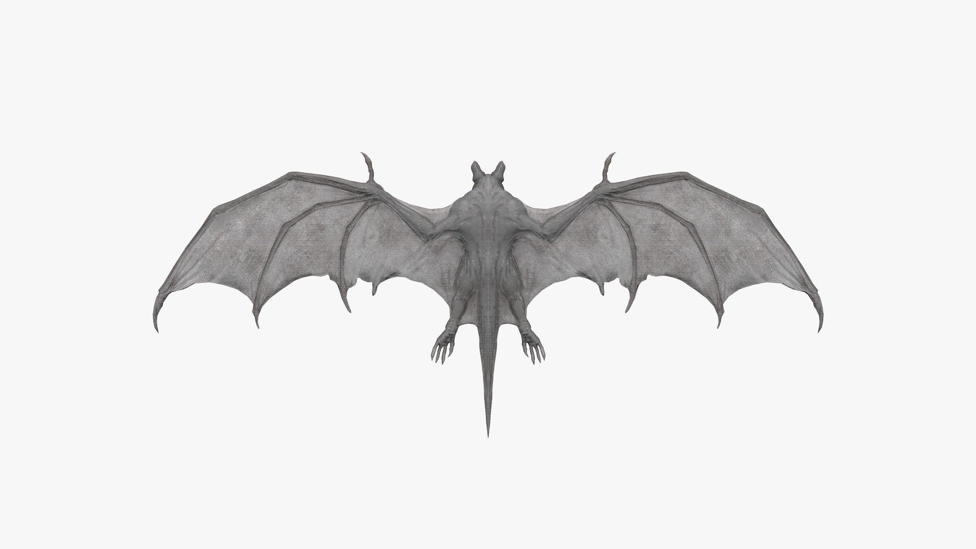 3D Bat Model - TurboSquid 2369812