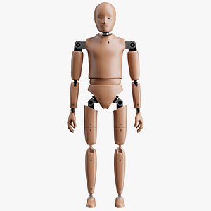 3D Crash Test Child Dummy
