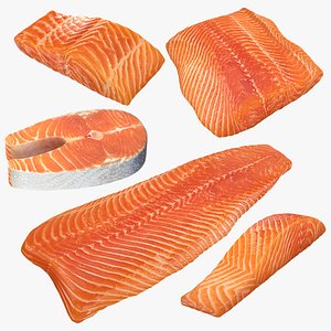 3D Raw Salmon Collection model