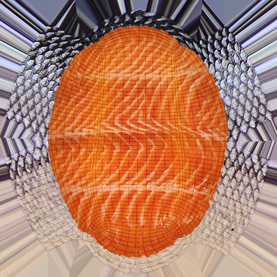 3D Raw Salmon Collection model https://p.turbosquid.com/ts-thumb/2I/mynBbu/5j/salmonfillet_d0004/jpg/1728924796/1920x1080/fit_q87/3088b1dace786aa0cc28b21b965e74e998034f91/salmonfillet_d0004.jpg