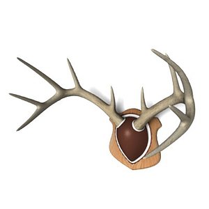 mounted deer antlers 3d 3ds