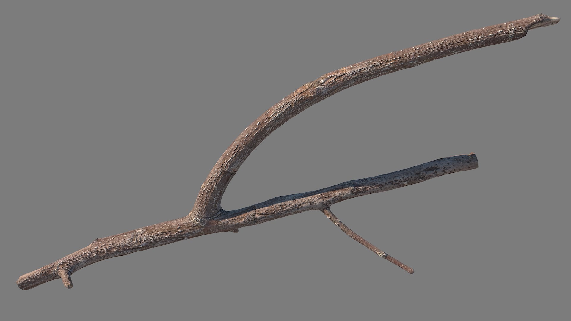 3D Twig Scanned 02 model - TurboSquid 2088945