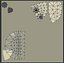 Champignons mignons - Morille