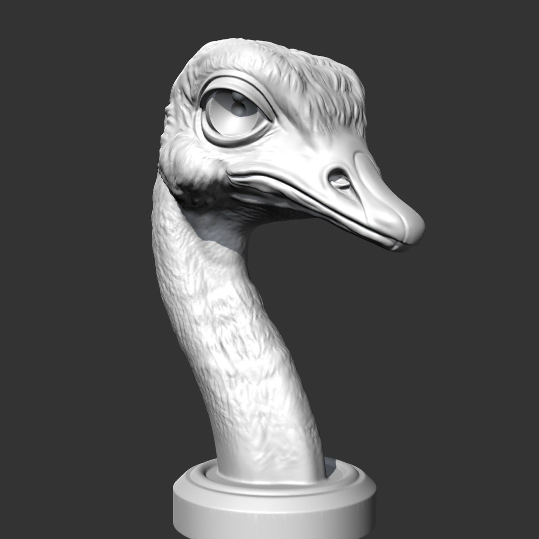 Ostrich Head AM31 3D Print Model 3D Model - TurboSquid 2223349