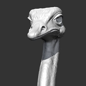 Ostrich Head AM31 3D print model 3D model
