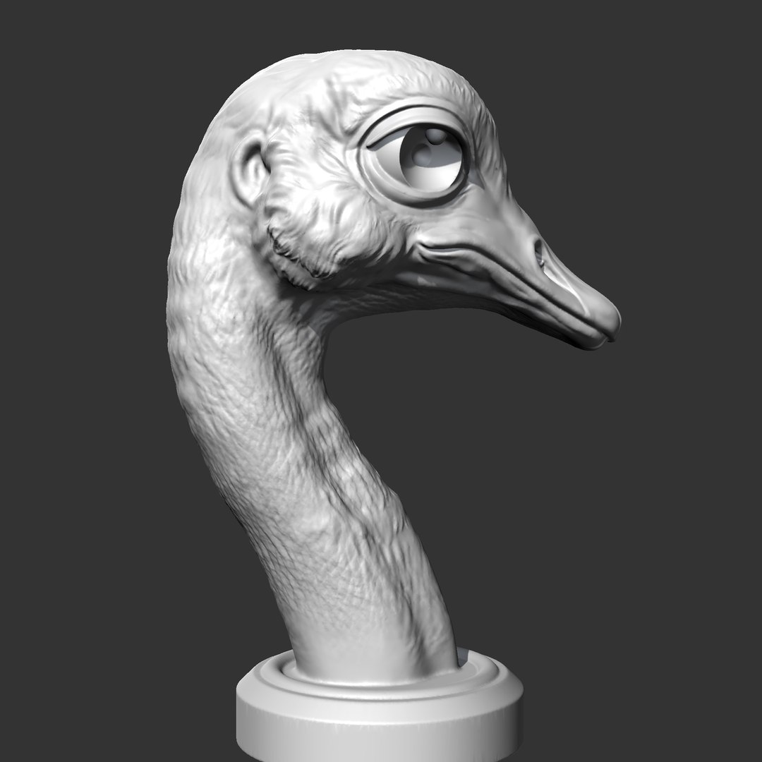 Ostrich Head AM31 3D Print Model 3D Model - TurboSquid 2223349