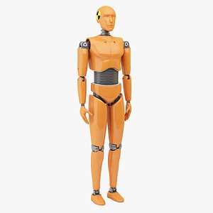 crash dummy male