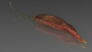 chile 3d model