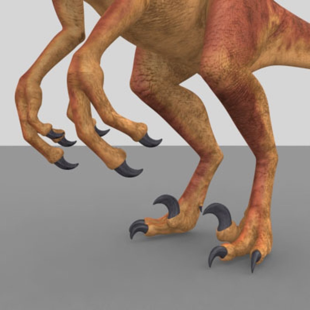 raptor dinosaur 3d model