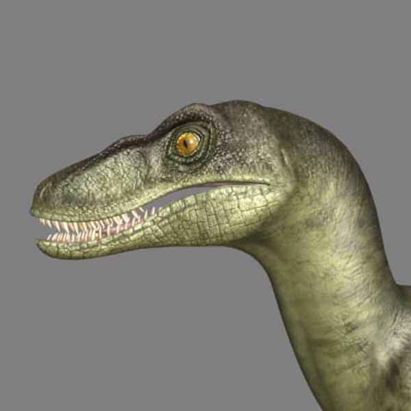 raptor dinosaur 3d model